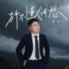 Download track 岁月不懂人间愁 (伴奏)