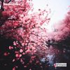 Download track Spring Blooms (Slowed)