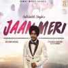 Download track Jaan Meri