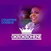 Download track Okrokrohene