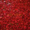 Download track Rose Pedals