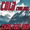 Download track Cold (Instrumental Cvdb Rmx)