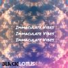 Download track Immaculate Vibes