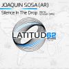 Download track Silence In The Drop (Groover (ARG) Remix)