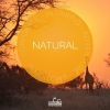 Download track Natural (Loop B)