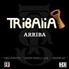 Download track Arriba (Radio Edit)