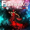 Download track Flamenko (Extended Version)