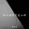 Download track 脉搏与心脏的距离为零