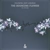 Download track The Bouncing Flower (Original Mix)