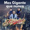 Download track El Llanto De Los Sapos 2021