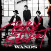 Download track Secret Night~It's My Treat~ [WANDS 第5期 Ver.]