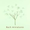 Download track J. S. Bach: Prelude For Lute In C Minor, BWV 999 (Transcr. For Guitar In D Minor)