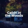 Download track Relaxing Cabin Noise, Pt. 21