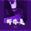 Download track 那你是 (Dj小建版伴奏)