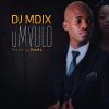 Download track Umvulo