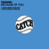 Download track Because Of You (Roy's 