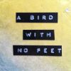 Download track A Bird With No Feet