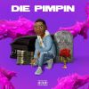 Download track Die Pimpin