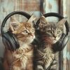 Download track Peaceful Meow Melody