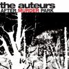 Download track After Murder Park [BBC John Peel Session 09 / 03 / 96]