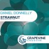 Download track Strawnut (Vass Remix)