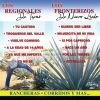 Download track Mujercita De Mi Vida (Ranchera)