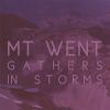 Download track Gather In The Storms