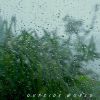 Download track Peaceful Rain Ambience