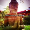 Download track Buddhist State Of Mind