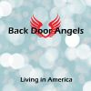 Download track Living In America