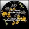 Download track Dark Brown Eyes (Original Mix)