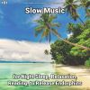 Download track Slow Music, Pt. 46