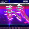 Download track Rapacious (Recluse Remix)