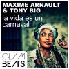 Download track La Vida Es Un Carnaval (Radio Edit)
