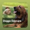 Download track Daycare