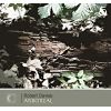 Download track Arboreal