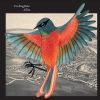Download track I'm Kingfisher