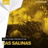 Download track Las Salinas