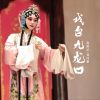 Download track 戏台九龙口 (伴奏版)