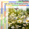 Download track Daffodil Waltz In Daylight