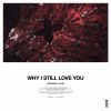 Download track Why I Still Love You (Original Mix)