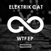 Download track WTF (Original Mix)