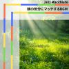 Download track Gentle Sunrise Gathering