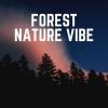 Download track Sounds Of Nature Rain