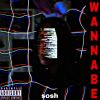 Download track Wannabe