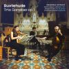 Download track Buxtehude: Trio Sonata No. 2 In G Major, BuxWV 253