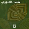 Download track Acid Roots