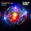 Download track Meaning Of Life (Original Mix)