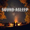 Download track Calming Fireplace Crackling Sounds In A Forest Clearing, Pt. 7