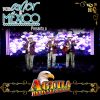 Download track El Caballito (En Vivo)